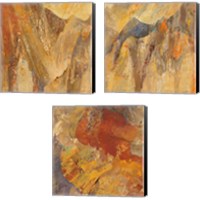 Framed Canyon 3 Piece Canvas Print Set