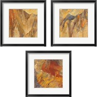 Framed Canyon 3 Piece Framed Art Print Set