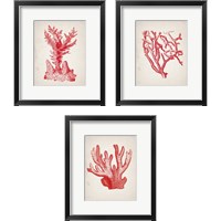 Framed 'Red Coral 3 Piece Framed Art Print Set' border=