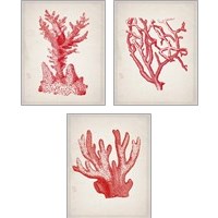 Framed 'Red Coral 3 Piece Art Print Set' border=