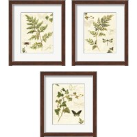 Framed 'Ivies and Ferns 3 Piece Framed Art Print Set' border=