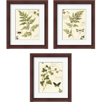 Framed Ivies and Ferns 3 Piece Framed Art Print Set