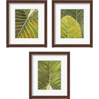 Framed Green Zoom 3 Piece Framed Art Print Set