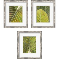 Framed 'Green Zoom 3 Piece Framed Art Print Set' border=