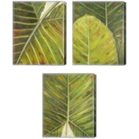 Framed 'Green Zoom 3 Piece Canvas Print Set' border=