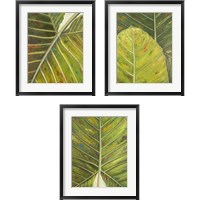 Framed 'Green Zoom 3 Piece Framed Art Print Set' border=