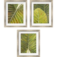 Framed Green Zoom 3 Piece Framed Art Print Set