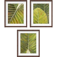 Framed 'Green Zoom 3 Piece Framed Art Print Set' border=