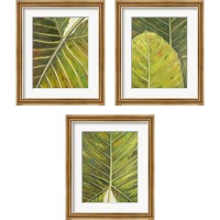Framed 'Green Zoom 3 Piece Framed Art Print Set' border=