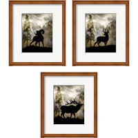 Framed 'Mystic Wildlife 3 Piece Framed Art Print Set' border=