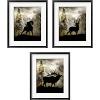 Framed 'Mystic Wildlife 3 Piece Framed Art Print Set' border=