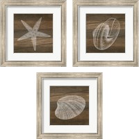 Framed 'Rustic Sealife - White 3 Piece Framed Art Print Set' border=