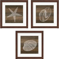 Framed 'Rustic Sealife - White 3 Piece Framed Art Print Set' border=