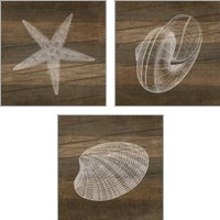 Framed 'Rustic Sealife - White 3 Piece Art Print Set' border=