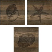 Framed 'Rustic Sealife 3 Piece Art Print Set' border=