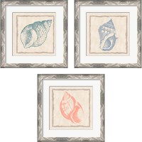Framed 'Shell 3 Piece Framed Art Print Set' border=