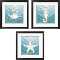 Framed 'Coastal Sealife 3 Piece Framed Art Print Set' border=