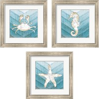 Framed 'Coastal Sealife 3 Piece Framed Art Print Set' border=