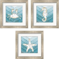 Framed Coastal Sealife 3 Piece Framed Art Print Set