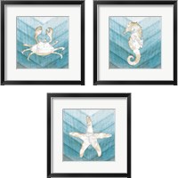 Framed Coastal Sealife 3 Piece Framed Art Print Set