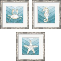 Framed 'Coastal Sealife 3 Piece Framed Art Print Set' border=