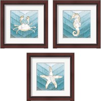 Framed 'Coastal Sealife 3 Piece Framed Art Print Set' border=