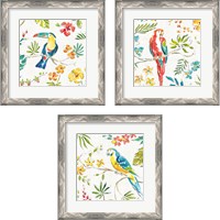 Framed 'Tropical Oasis White 3 Piece Framed Art Print Set' border=