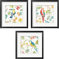 Framed 'Tropical Oasis White 3 Piece Framed Art Print Set' border=