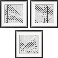 Framed Diametric  3 Piece Framed Art Print Set