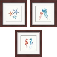 Framed Maritime  3 Piece Framed Art Print Set