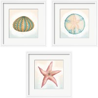 Framed 'Boardwalk Sea Life 3 Piece Framed Art Print Set' border=