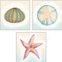 Framed Boardwalk Sea Life 3 Piece Art Print Set