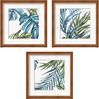 Framed 'Palm Leaves 3 Piece Framed Art Print Set' border=