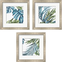 Framed 'Palm Leaves 3 Piece Framed Art Print Set' border=