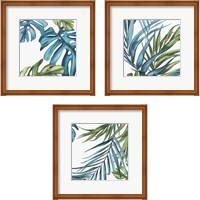 Framed 'Palm Leaves 3 Piece Framed Art Print Set' border=