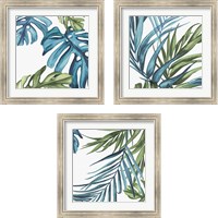 Framed 'Palm Leaves 3 Piece Framed Art Print Set' border=