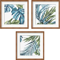 Framed 'Palm Leaves 3 Piece Framed Art Print Set' border=