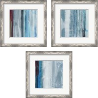 Framed 'Unswerving  3 Piece Framed Art Print Set' border=