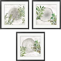 Framed 'Eco 3 Piece Framed Art Print Set' border=