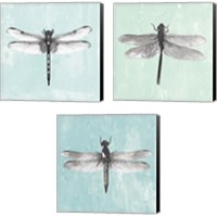 Framed 'Dragonfly  3 Piece Canvas Print Set' border=