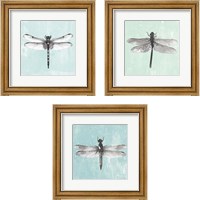 Framed Dragonfly  3 Piece Framed Art Print Set