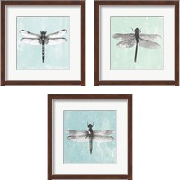 Framed 'Dragonfly  3 Piece Framed Art Print Set' border=