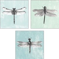 Framed 'Dragonfly  3 Piece Art Print Set' border=