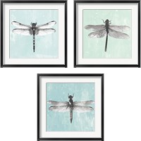 Framed Dragonfly  3 Piece Framed Art Print Set