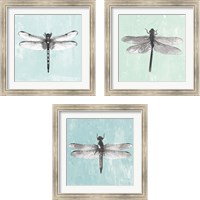 Framed 'Dragonfly  3 Piece Framed Art Print Set' border=