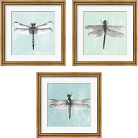Framed Dragonfly  3 Piece Framed Art Print Set