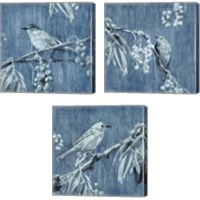 Framed Denim Songbird 3 Piece Canvas Print Set