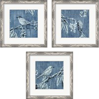 Framed 'Denim Songbird 3 Piece Framed Art Print Set' border=