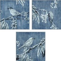 Framed Denim Songbird 3 Piece Art Print Set
