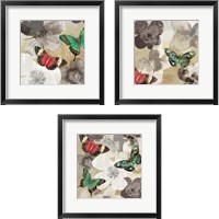 Framed 'Aflutter  3 Piece Framed Art Print Set' border=